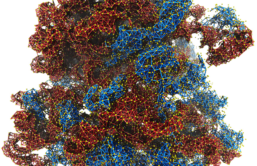 Coarse-grained MARTINI ribosome